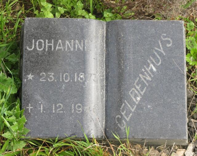GELDENHUYS Johannes 1873-1948