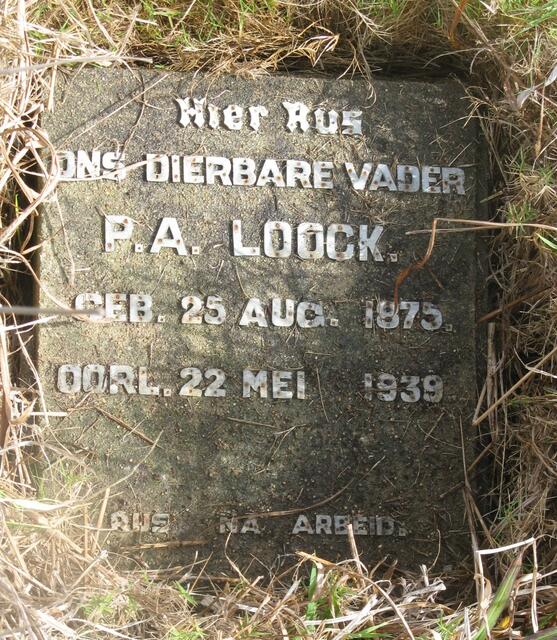 LOOCK P.A. 1875-1939