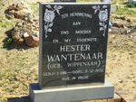 WANTENAAR Hester nee WIPPENAAR 1916-1972