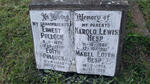 PULLOCK Ernest 1879-1956 & Edith 1883-1964 :: HESP Harold Lewis 1905-1981 & Mabel Edith 1908-1989