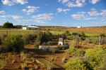 Northern Cape, WILLISTON district, Rondegat 191, Klipkraal, farm cemetery
