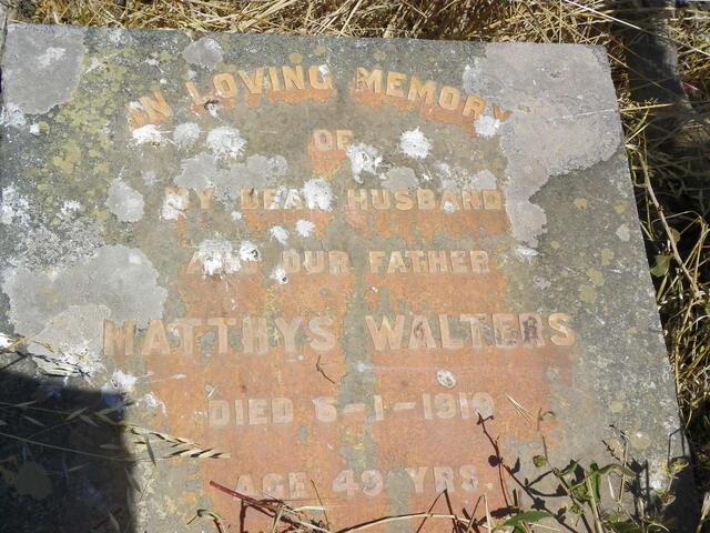 WALTERS Matthys -1919