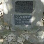 COETZEE Danie 1932-2008