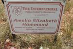 HAMMOND Amelia Elizabeth 1949-2011