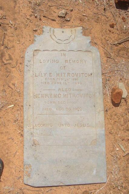 MITROVITCH Lily E. 1898-1898 :: MITROVITCH Henry M.C. 1901-1902
