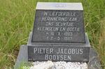 BOOYSEN Pieter Jacobus 1983-1987