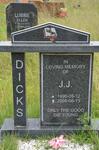 DICKS J.J. 1990-2008