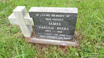 BEERS James Harold 1907-1991