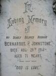 JOHNSTONE Bernardus P. -1914