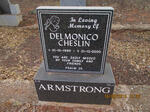 ARMSTRONG Delmonico Cheslin 1990-2000