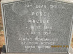 MNCUBE Rose 1940-1954