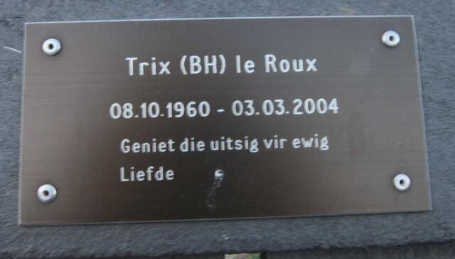 ROUX B.H., le 1960-2004