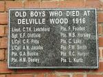 3. Delville Wood Memorial
