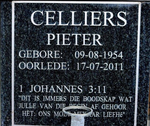 CELLIERS Pieter 1954-2011