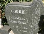 LUBBE Cornelia Andriesina 1938-1998