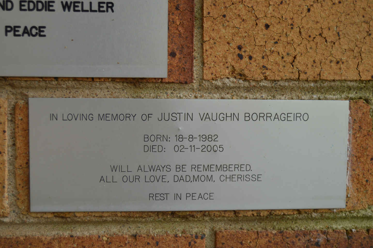 BORRAGEIRO Justin Vaughn 1982-2005