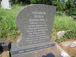 ZANDAMELA Charlie Guila 1993-2014
