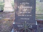 SCHUURMAN H.J. 1898-1987