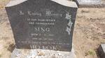 LOK Sing, ho 1907-1967