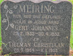 MEIRING Gert Johannes 1953-1953 :: MEIRING Tielman Christiaan 1954-1955