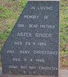 SPIDER Aster -1945 :: SPIDER Christopher -1966