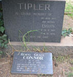 TIPLER Evelyn 1901-1970 :: CONNOR Beryl Grace 1931-1992