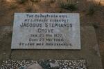 GROVE Jacobus Stephanus 1877-1960