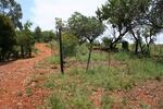 Limpopo, ELIAS MOTSOALEDI district, Mapochsgronde 500 JS, Blauwkrans, farm cemetery