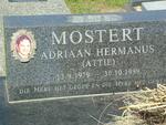 MOSTERT Adriaan Hermanus 1979-1999