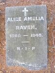 RAVEN Alice Amelia 1860-1949