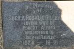 GILLBANKS Sheila Rosalie nee MITCHELL 1924-1984