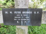 BRENNER Peter -1899