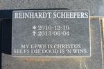 SCHEEPERS Reinhardt 2010-2013