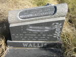 WALLIS Hendrik Bernhardus 1915-1982 :: WALLIS Charles Stanley 1998-1998