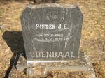 ODENDAAL Pieter J. E. 1962-1972