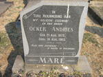 MARE Ocker Andries 1879-1963