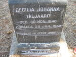 TALJAARD Cecilia Johanna 1940-1942