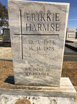 HARMSE Frikkie 1974-1978