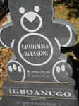 IGBOANUGO Chidimma Blessing 2004-2007