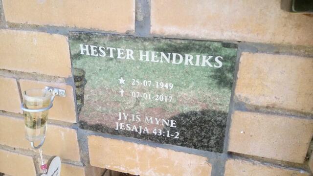 HENDRIKS Hester 1949-2017