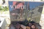 WHITE Cecilia H. 1902-1994