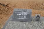 PRINCE Ruan Lucan 1992-2016