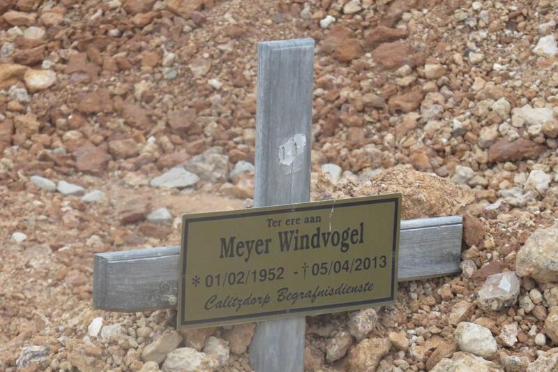 WINDVOGEL Meyer 1952-2013