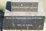 CASTLETON Caroline -1901