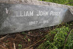 PUSEY William John 1867-1915