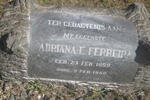 FERREIRA Adriana E. 1899-1950