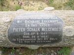 WELGEMOED Pieter Schalk 1897-1954