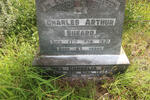 SHEARD Charles Arthur -1931 & Inez Cornelia -1942