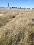 Northern Cape, DANIELSKUIL, Kuilsville, Public cemetery