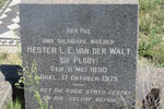 WALT Nicolaas Johannes, van der 1888-1939 & Hester L.E. DU PLOOY 1890-1975